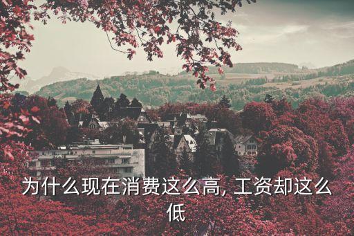 為什么現在消費這么高, 工資卻這么低