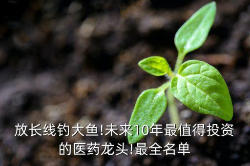 放長(zhǎng)線(xiàn)釣大魚(yú)!未來(lái)10年最值得投資的醫(yī)藥龍頭!最全名單