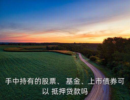 手中持有的股票、 基金、上市債券可以 抵押貸款嗎