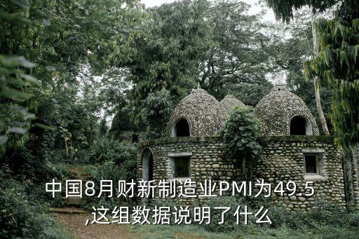 中國8月財新制造業(yè)PMI為49.5,這組數據說明了什么