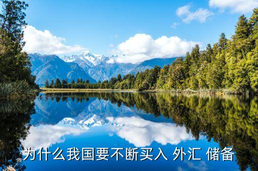 中國目前外匯儲備的結構是否合理