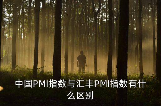 中國PMI指數與匯豐PMI指數有什么區(qū)別