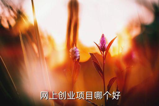  網上創(chuàng)業(yè)項目哪個好