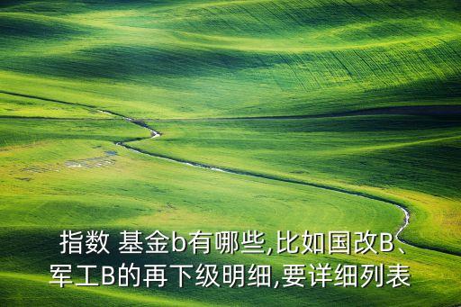  指數(shù) 基金b有哪些,比如國改B、軍工B的再下級明細(xì),要詳細(xì)列表