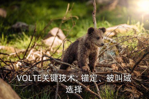 VOLTE關鍵技術: 錨定、被叫域選擇