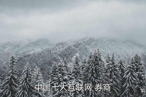 中國十大互聯(lián)網 券商