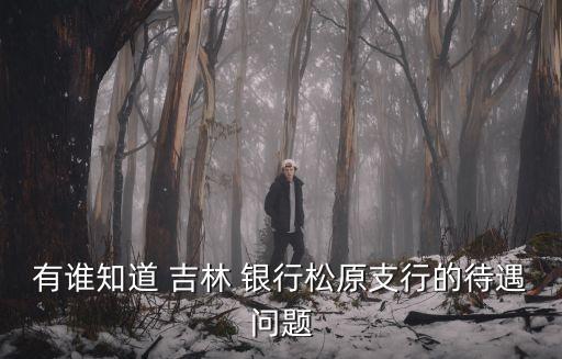 有誰(shuí)知道 吉林 銀行松原支行的待遇問(wèn)題
