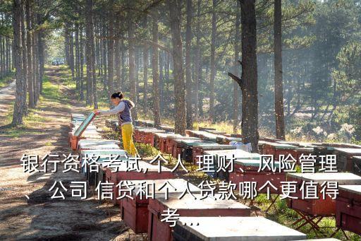 銀行資格考試,個(gè)人 理財(cái)、風(fēng)險(xiǎn)管理、 公司 信貸和個(gè)人貸款哪個(gè)更值得考...