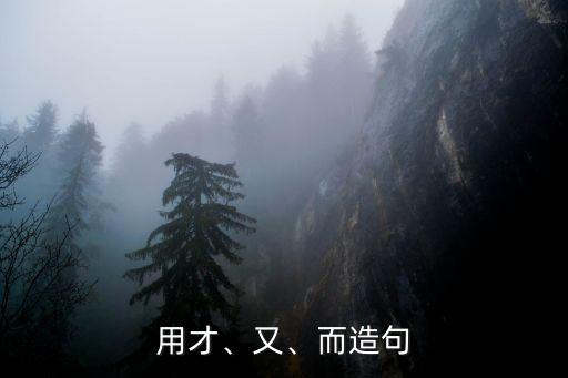 用才、又、而造句