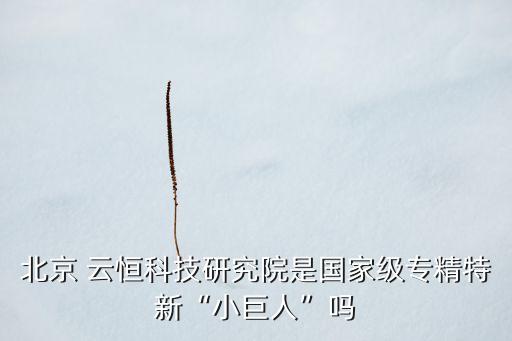 北京 云恒科技研究院是國(guó)家級(jí)專(zhuān)精特新“小巨人”嗎