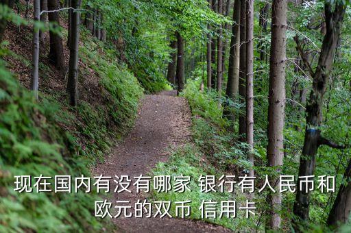 現在國內有沒有哪家 銀行有人民幣和歐元的雙幣 信用卡