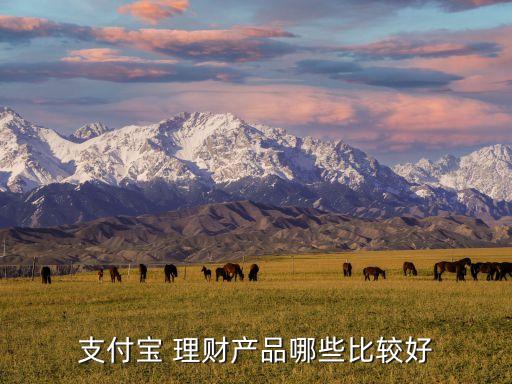 支付寶 理財產品哪些比較好
