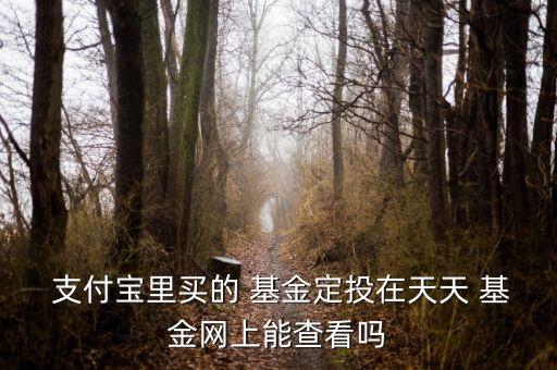  支付寶里買(mǎi)的 基金定投在天天 基金網(wǎng)上能查看嗎