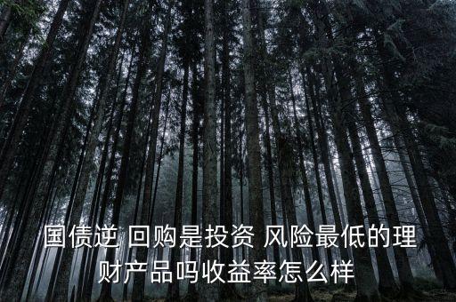  國債逆 回購是投資 風險最低的理財產品嗎收益率怎么樣