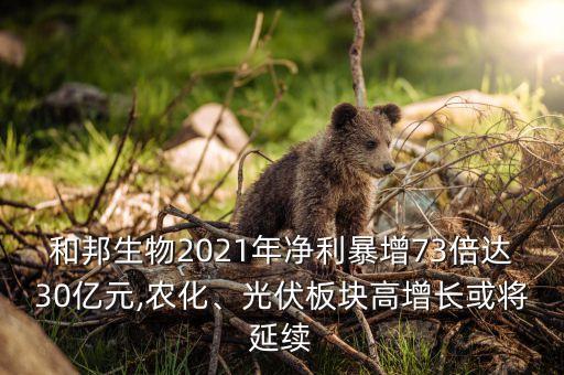 和邦生物2021年凈利暴增73倍達(dá)30億元,農(nóng)化、光伏板塊高增長(zhǎng)或?qū)⒀永m(xù)