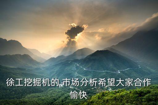 徐工挖掘機的 市場分析希望大家合作愉快