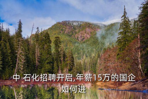 中 石化招聘開啟,年薪15萬(wàn)的國(guó)企如何進(jìn)
