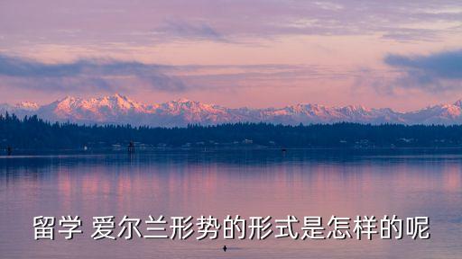 留學 愛爾蘭形勢的形式是怎樣的呢