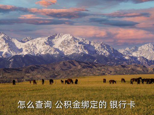 怎么查詢(xún) 公積金綁定的 銀行卡