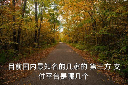 目前國內(nèi)最知名的幾家的 第三方 支付平臺是哪幾個(gè)