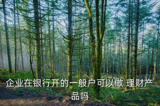 企業(yè)在銀行開(kāi)的一般戶(hù)可以做 理財(cái)產(chǎn)品嗎