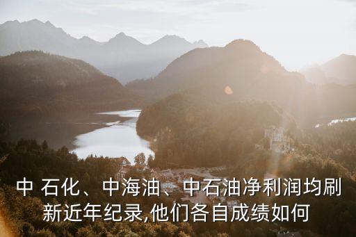 中 石化、中海油、中石油凈利潤均刷新近年紀錄,他們各自成績?nèi)绾? class=
