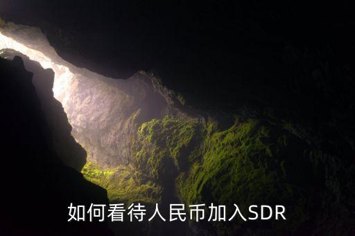 中國貨幣加入sdr,中國數字貨幣