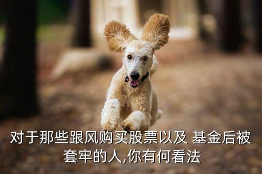 對(duì)于那些跟風(fēng)購買股票以及 基金后被 套牢的人,你有何看法