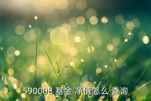 590008 基金 凈值怎么 查詢(xún)