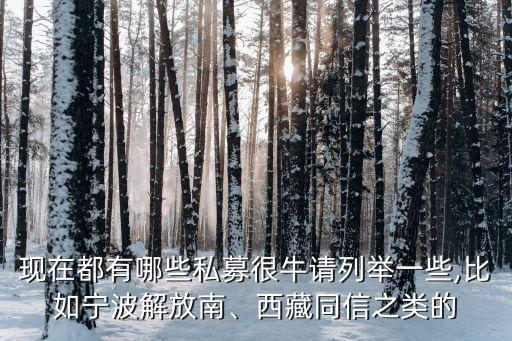 現(xiàn)在都有哪些私募很牛請列舉一些,比如寧波解放南、西藏同信之類的