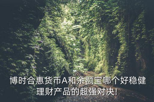  博時(shí)合惠貨幣A和余額寶哪個(gè)好穩(wěn)健理財(cái)產(chǎn)品的超強(qiáng)對決!