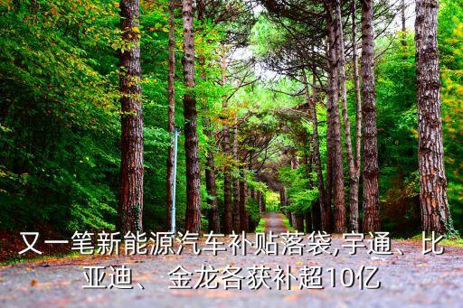 又一筆新能源汽車(chē)補(bǔ)貼落袋,宇通、比亞迪、 金龍各獲補(bǔ)超10億