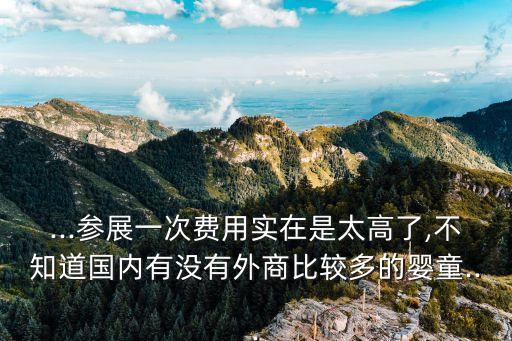 cbme中國孕嬰童消費市場調查報告