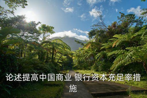 論述提高中國(guó)商業(yè) 銀行資本充足率措施