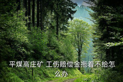 平煤集團(tuán)工傷井下保險金