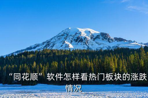 “同花順”軟件怎樣看熱門(mén)板塊的漲跌情況