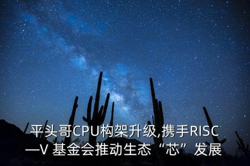 平頭哥CPU構架升級,攜手RISC—V 基金會推動生態(tài)“芯”發(fā)展