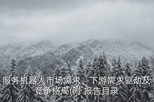 服務(wù)機(jī)器人市場需求、下游需求驅(qū)動及競爭格局(附 報(bào)告目錄