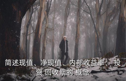 簡述現(xiàn)值、凈現(xiàn)值、內(nèi)部收益率、 投資 回收期的 概念