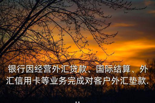  銀行因經(jīng)營外匯貸款、國際結(jié)算、外匯信用卡等業(yè)務完成對客戶外匯墊款...