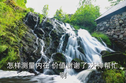 怎樣測量內(nèi)在 價(jià)值謝謝了,大神幫忙啊