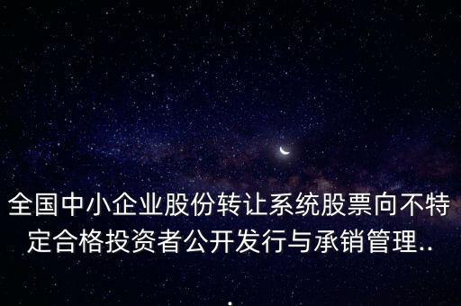 全國中小企業(yè)股份轉讓系統(tǒng)股票向不特定合格投資者公開發(fā)行與承銷管理...