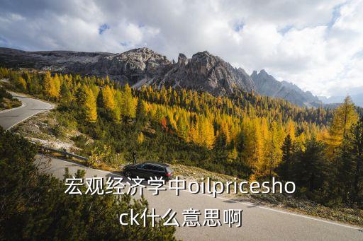 宏觀經(jīng)濟學(xué)中oilpriceshock什么意思啊