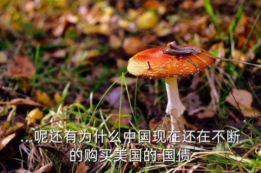 ...呢還有為什么中國現在還在不斷的購買美國的 國債