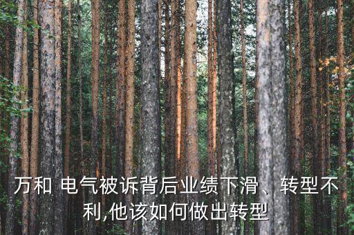 萬和 電氣被訴背后業(yè)績(jī)下滑、轉(zhuǎn)型不利,他該如何做出轉(zhuǎn)型