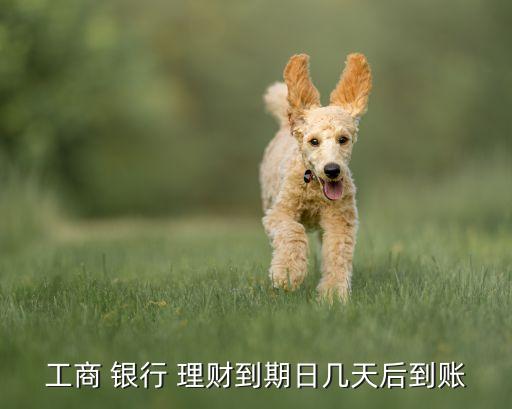 工商 銀行 理財到期日幾天后到賬