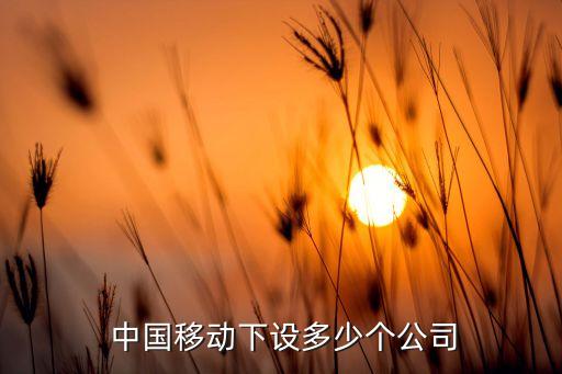  中國移動下設(shè)多少個(gè)公司