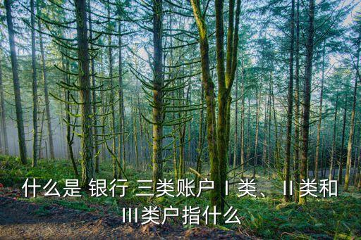 什么是 銀行 三類賬戶Ⅰ類、Ⅱ類和Ⅲ類戶指什么