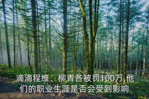  滴滴程維、柳青各被罰100萬,他們的職業(yè)生涯是否會受到影響