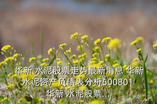  華新 水泥股票走勢最新消息 華新 水泥資產(chǎn)負債表分析600801 華新 水泥股票...